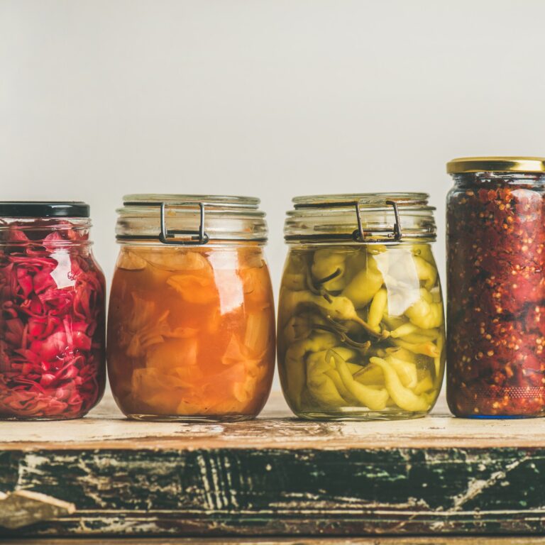 Autumn pickled colorful vegetables in jars placed in row